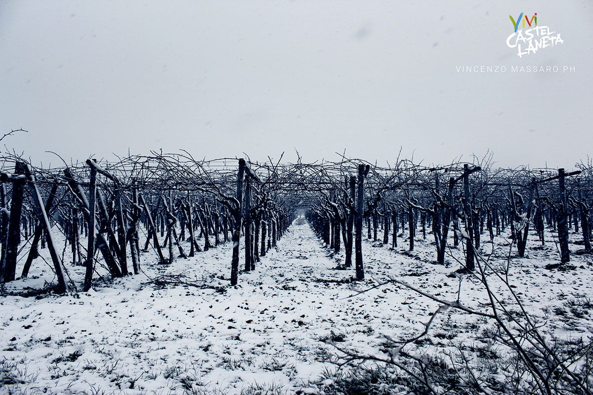 NEVE A CASTELLANETA | FOTO INEDITE | 10.02.2013