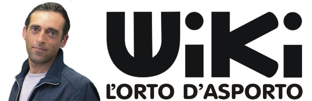 NOVITÀ A CASTELLANETA: NASCE WIKI, L NOVITÀ A CASTELLANETA: NASCE WIKI, L