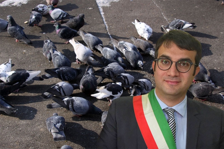 GUGLIOTTI CONTRO I PICCIONI: DI TUTTO PER ALLONTANARLI DA CASTELLANETA GUGLIOTTI CONTRO I PICCIONI: DI TUTTO PER ALLONTANARLI DA CASTELLANETA