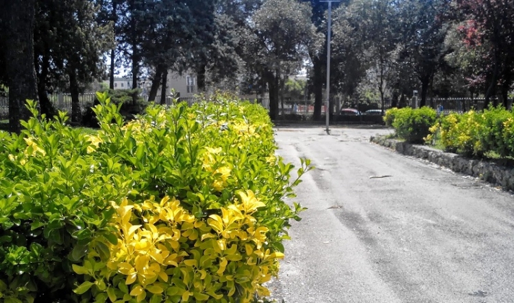 ATTI OSCENI IN VILLA, PER LA POLIZIA LOCALE «È EMERSO UN QUADRO DI PROFONDO DISAGIO» ATTI OSCENI IN VILLA, PER LA POLIZIA LOCALE «È EMERSO UN QUADRO DI PROFONDO DISAGIO»