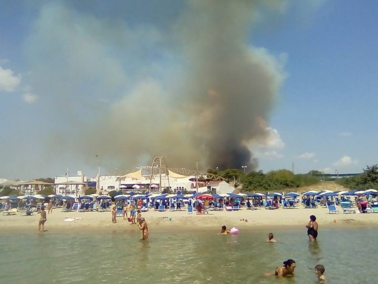 IN FIAMME LA PINETA DI CASTELLANETA MARINA: QUASI CERTAMENTE UN INCENDIO DOLOSO IN FIAMME LA PINETA DI CASTELLANETA MARINA: QUASI CERTAMENTE UN INCENDIO DOLOSO