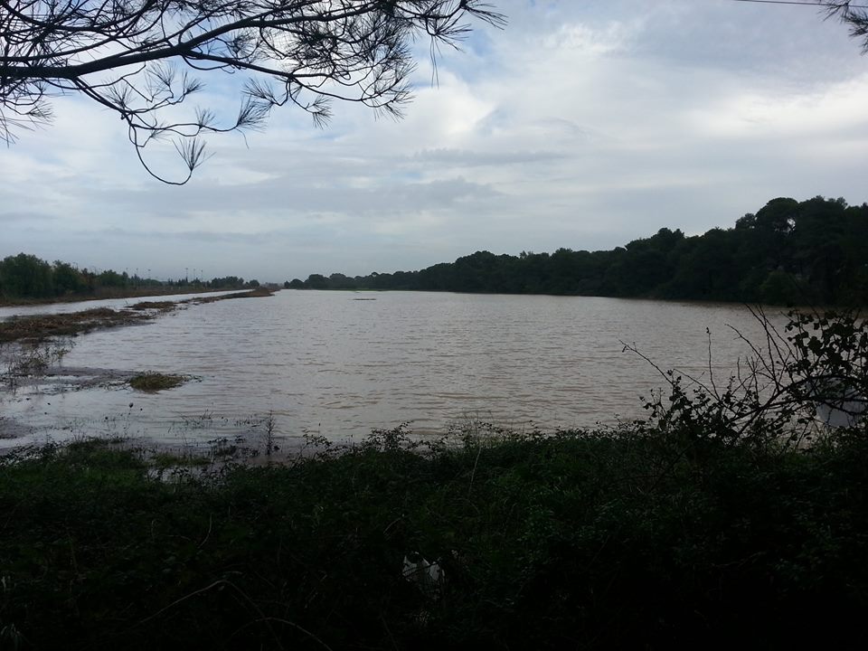 ALLUVIONE A CASTELLANETA MARINA, CASE IN PERICOLO