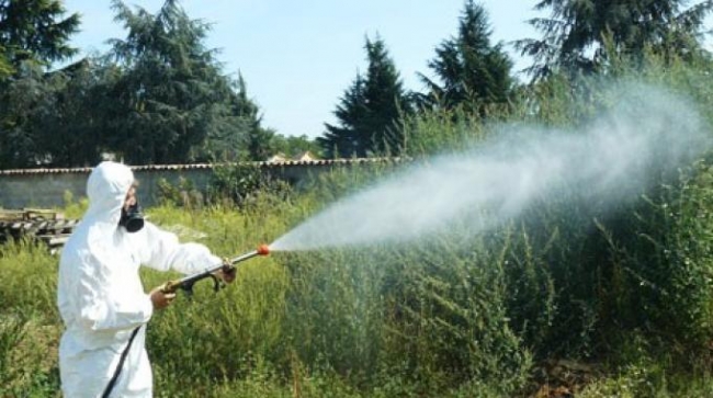 AL VIA LA DISINFESTAZIONE ANTIALARE CONTRO LE ZANZARE AL VIA LA DISINFESTAZIONE ANTIALARE CONTRO LE ZANZARE