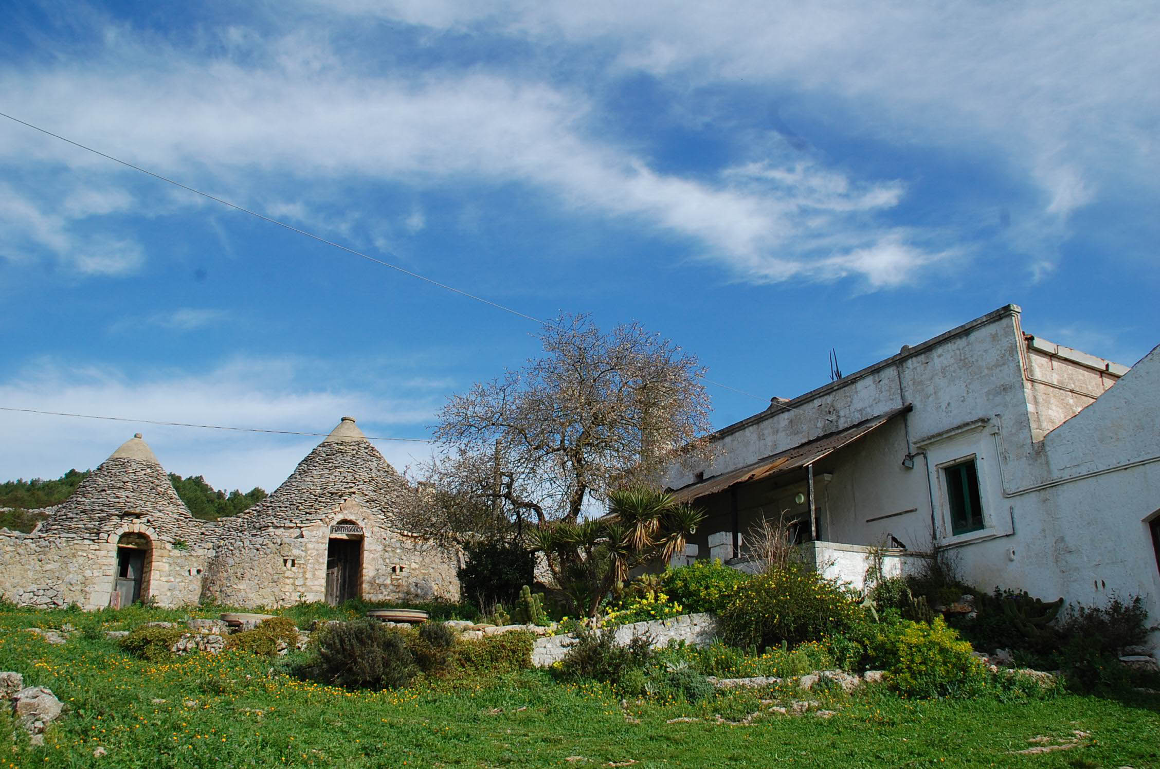 CON “UPPark!” RINASCE IL PARCO NATURALE REGIONALE "TERRA DELLE GRAVINE"