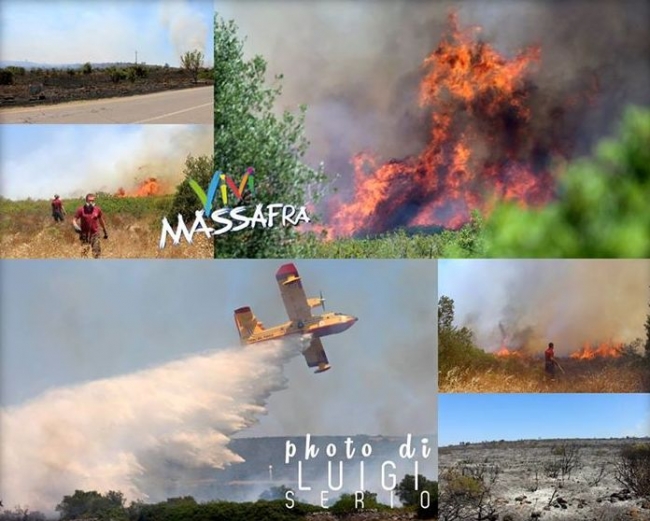 INCENDIO DISTRUGGE DIVERSI ETTARI DI MACCHIA MEDITERRANEA NEI PRESSI DI CERNERA