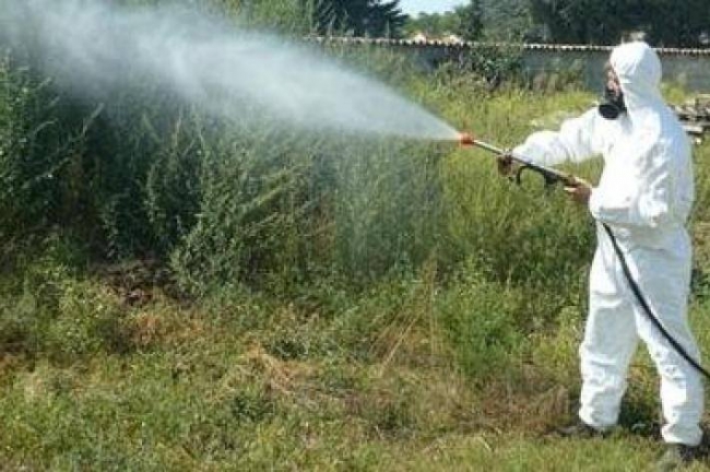 DEBLATTIZZAZIONE E DISINFESTAZIONE ANTIALARE ESTATE 2014