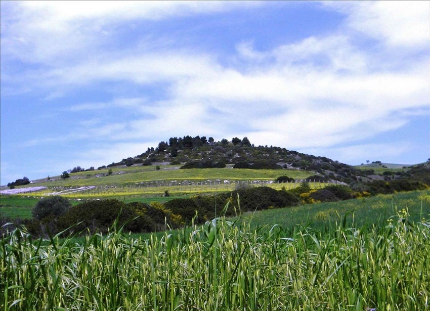 Territorio di Castellaneta, Monterotondo