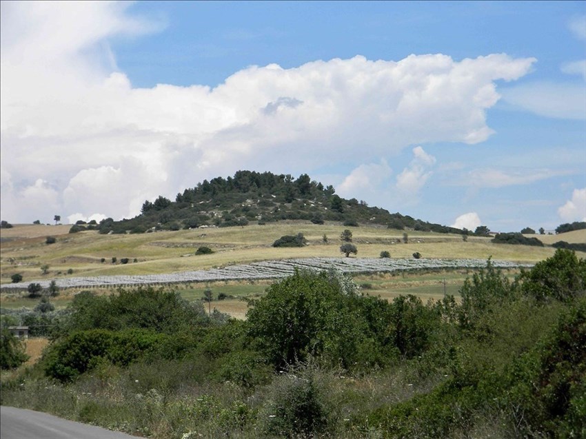 Territorio di Castellaneta, Monterotondo. In vicinanza la Masseria Guatoni (sulla mappa definta Guartoni)