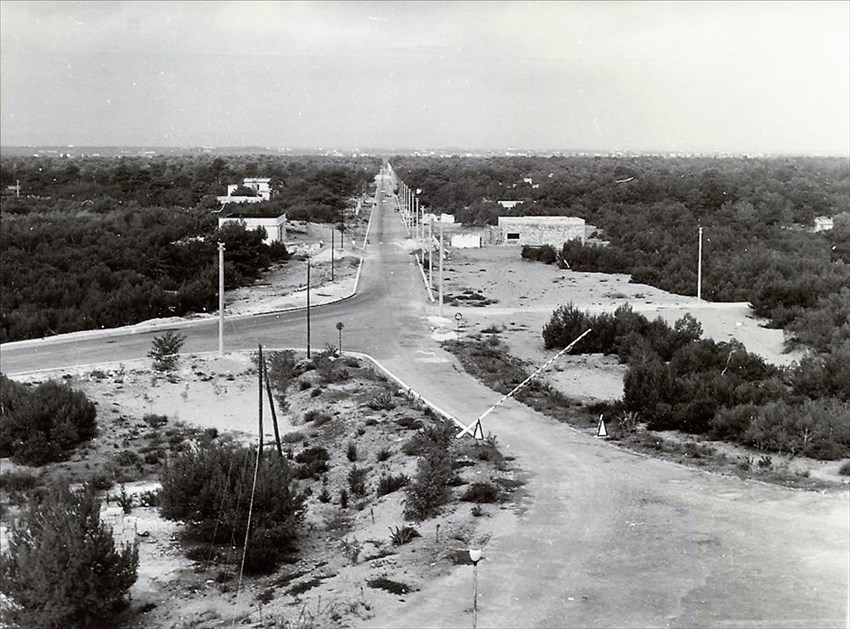 Castellaneta Marina, 1960, Viale dei Pini